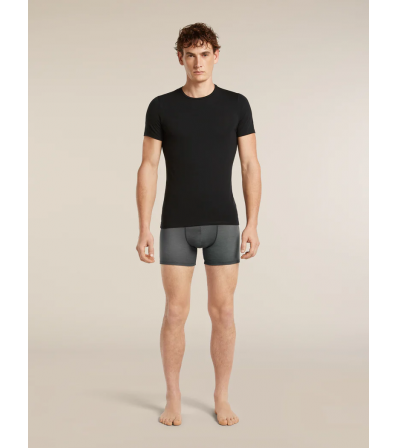 Боксерки Icebreaker Merino 150 Anatomica Boxers Transitions